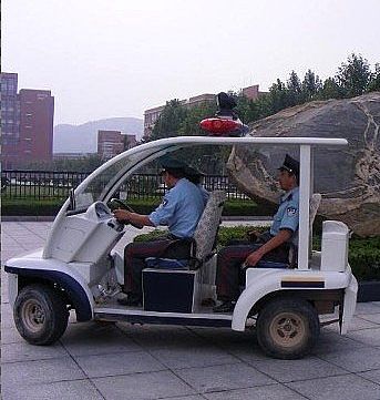 电动巡逻车 德州