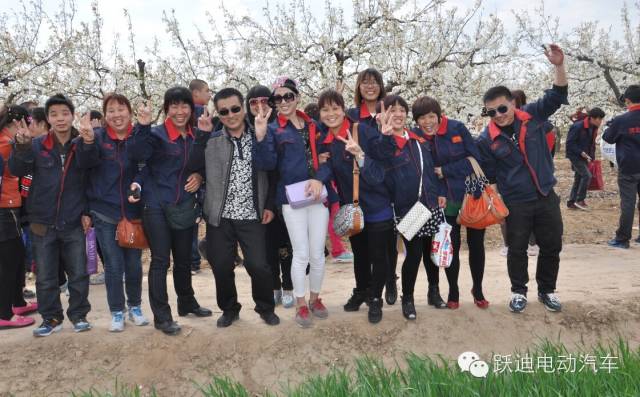 跃迪集团2015春之光踏青赏春之旅正式启动