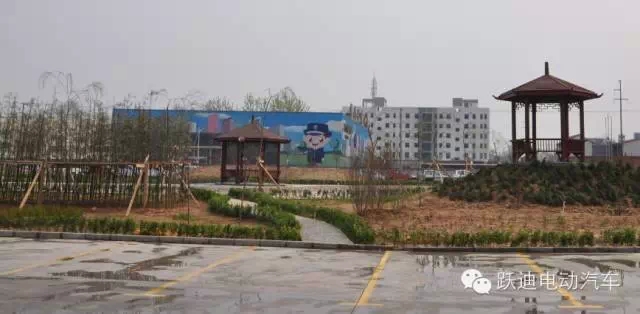 春暖花开、绿色跃迪---跃迪集团绿化工作进行中！