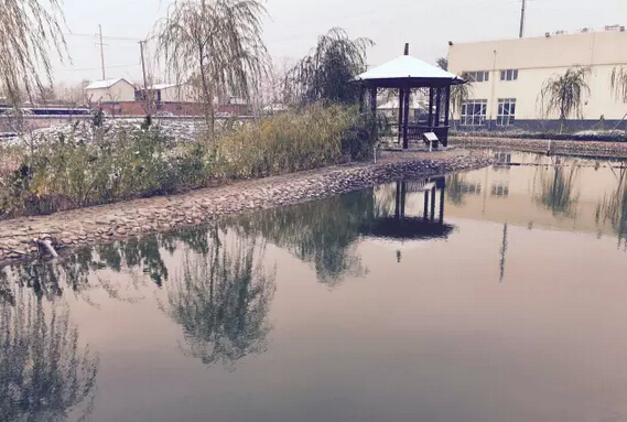 下雪天的跃迪集团，咱也跟跟风。。。