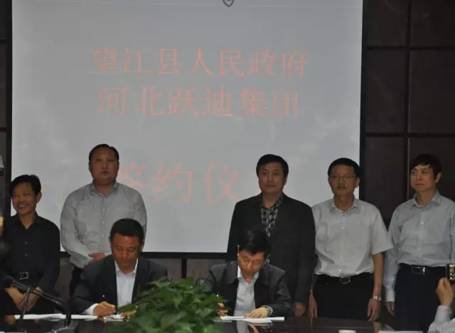 2015年跃迪集团发展大事记