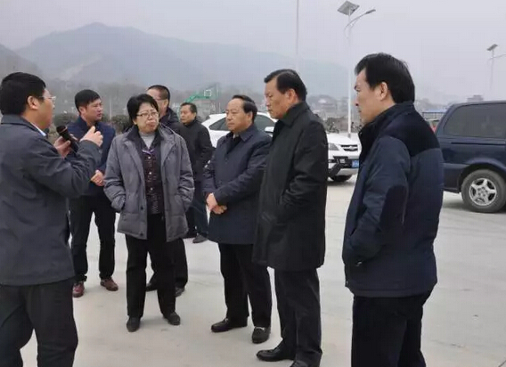 中央国家机关工委副书记陈存根一行到跃迪集团旗下陕西跃迪新能源汽车有限公司调研