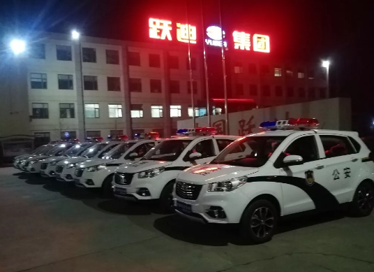 护航两会，跃迪在行动|跃迪电动警用巡逻车海南执勤，助力和谐两会