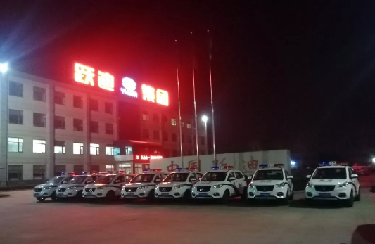 护航两会，跃迪在行动|跃迪电动警用巡逻车海南执勤，助力和谐两会