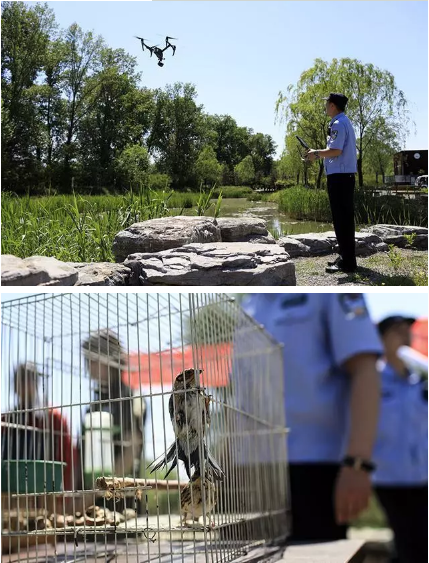 保护候鸟|跃迪移动警务室——北京首个湿地移动森林警务执法站