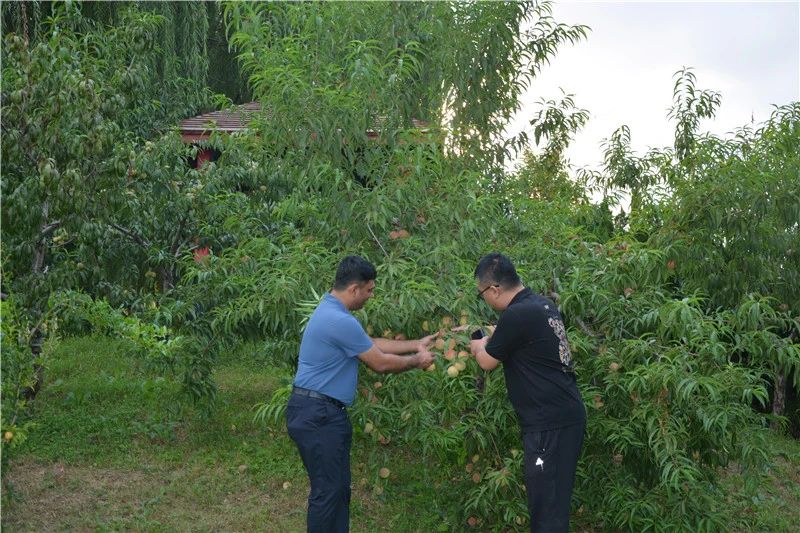 一路一带丨印度客商到跃迪集团参观洽谈合作